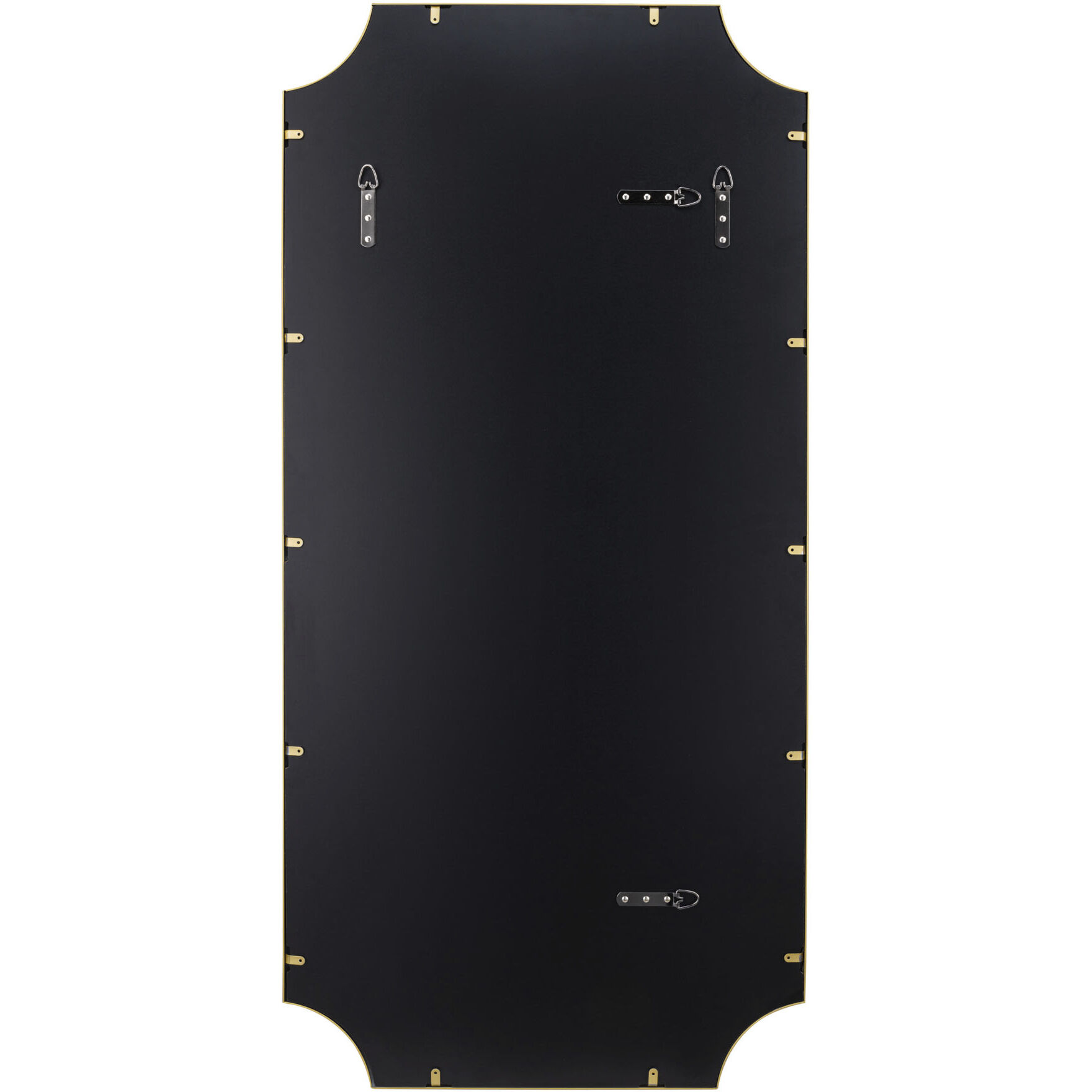 Carlton 50 X 24 inch Gold Wall Mirror, Tamara Day Collaboration