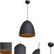 Liberty LED 12 inch Matte Black Outer and Matte Gold Inner Pendant Ceiling Light