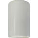 Ambiance Cylinder LED 12.5 inch Matte White Outdoor Wall Sconce, Large