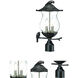 Avian 2 Light 18 inch Black Coral Exterior Post Mount Light