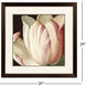 Secret Garden II Red and Pink and Brown and Beige Framed Art, Propac
