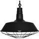 Morgan 1 Light 18 inch Black Down Pendant Ceiling Light