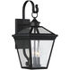 Ellijay Outdoor Wall Lantern in Black