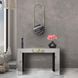 Aryes 44 inch Silver Console Table