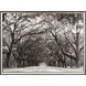 Propac 31 X 24 inch Non-Glass Framed Art, Propac