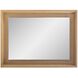 Danton 40 X 30 inch Brown Vanity Mirror