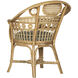 Eugenie Natural and Green and Linho Loden Accent Chair