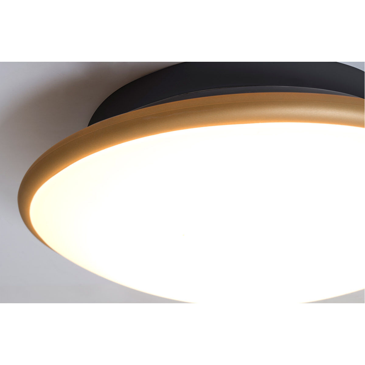 Silk 1 Light 16 inch Flush Mount Ceiling Light