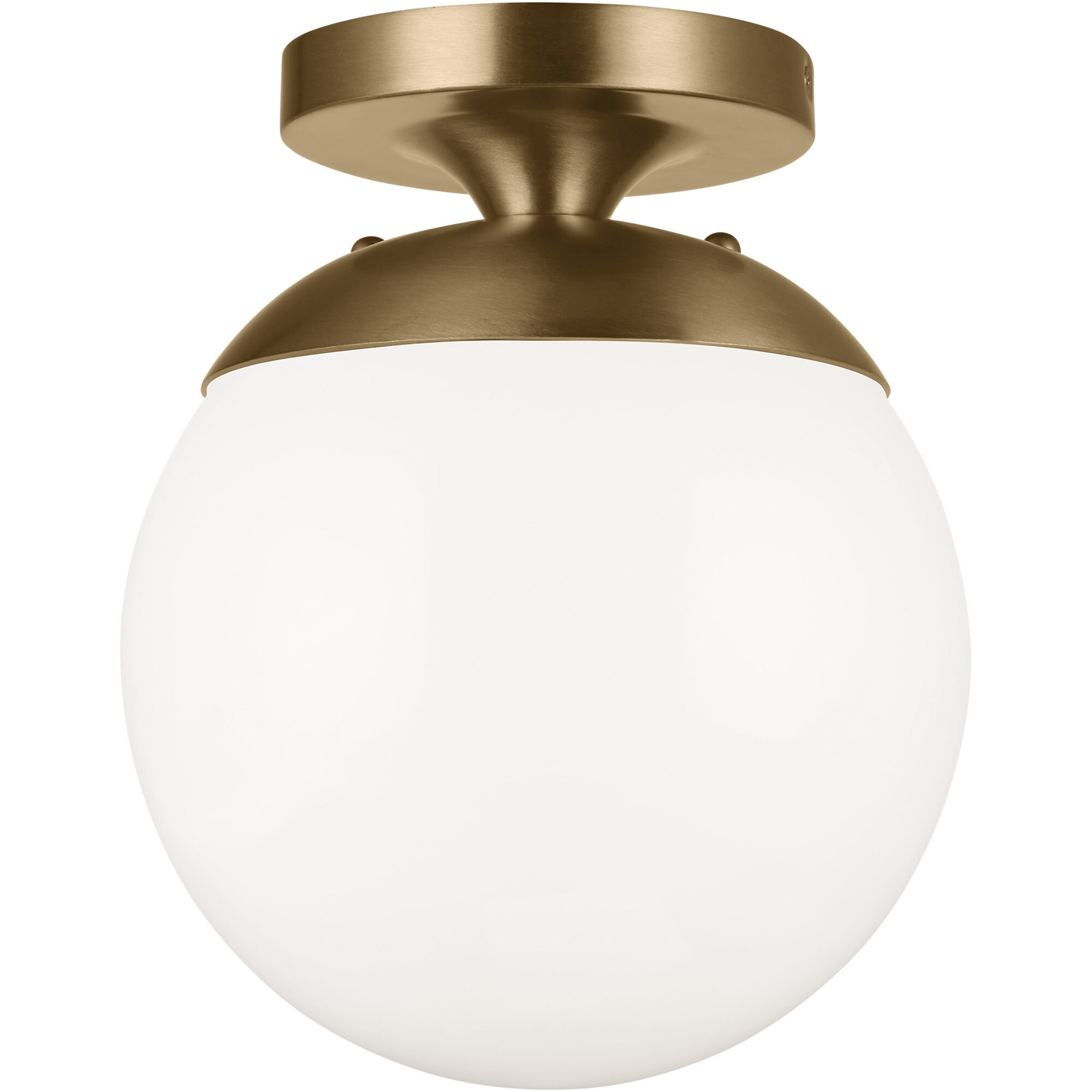 Leo - Hanging Globe 1 Light 8.00 inch Semi-Flush Mount