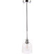 Gabe 1 Light 6 inch Chrome Pendant Ceiling Light