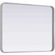 Remy 36 X 27 inch Silver Mirror
