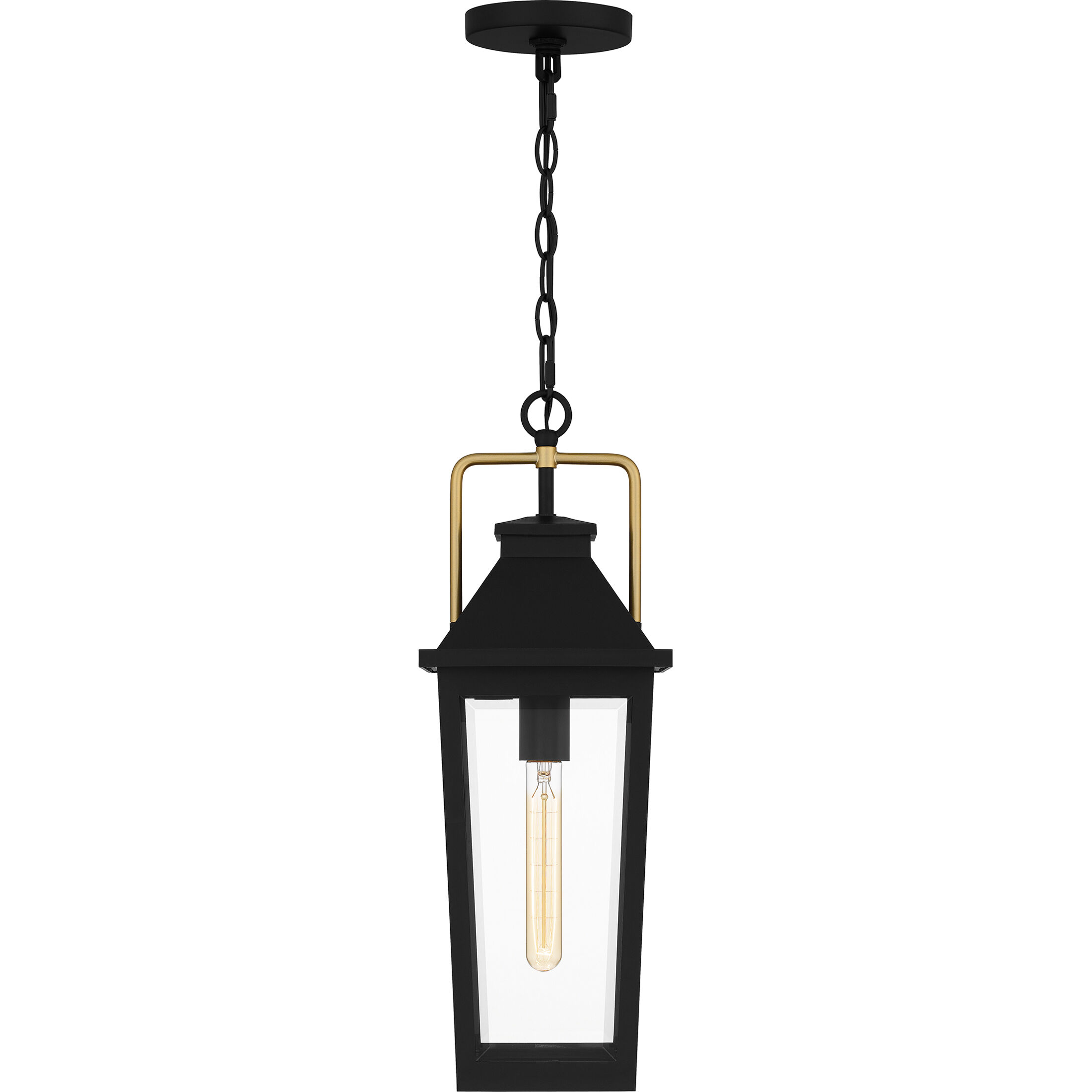 Buckley 1 Light 8 inch Matte Black Outdoor Hanging Lantern