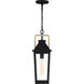 Buckley 1 Light 8 inch Matte Black Outdoor Hanging Lantern