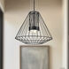 Arctic LED 20 inch Black Exterior Pendant