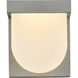 Raine Outdoor Wall Light in Silver