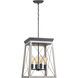 Briarwood 4 Light 15.5 inch Graphite Foyer Pendant Ceiling Light