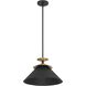 Tremolo 1 Light 16.25 inch Textured Black and Champagne Gold Pendant Ceiling Light