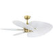 Islander DC Brushed Satin Brass Fan Motor in 5