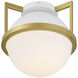 Carlysle 1 Light 15 inch White with Warm Brass Accents Flush Mount Ceiling Light in White/Warm Brass