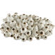 Sulawasi Shells Antique White Decorative Accessory