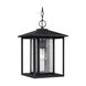 Hunnington 1 Light 9 inch Black Outdoor Pendant
