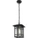 Harley 1 Light 7.5 inch Black Outdoor Pendant