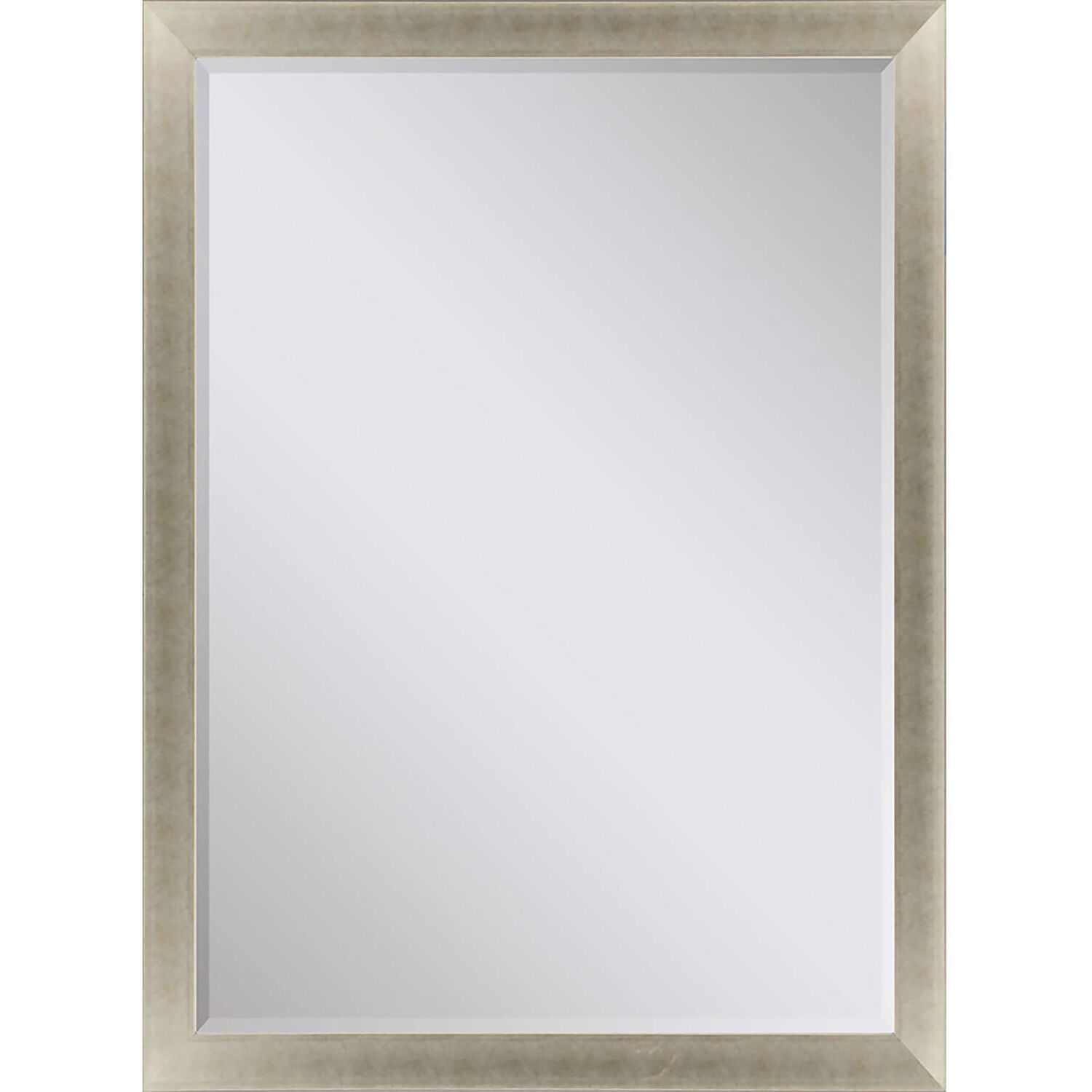 790 Mirror Group 41 X 29 inch Metallic and Neutral Wall Mirror