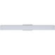 Procyon 24 inch Silver Bathroom Vanity Light Wall Light