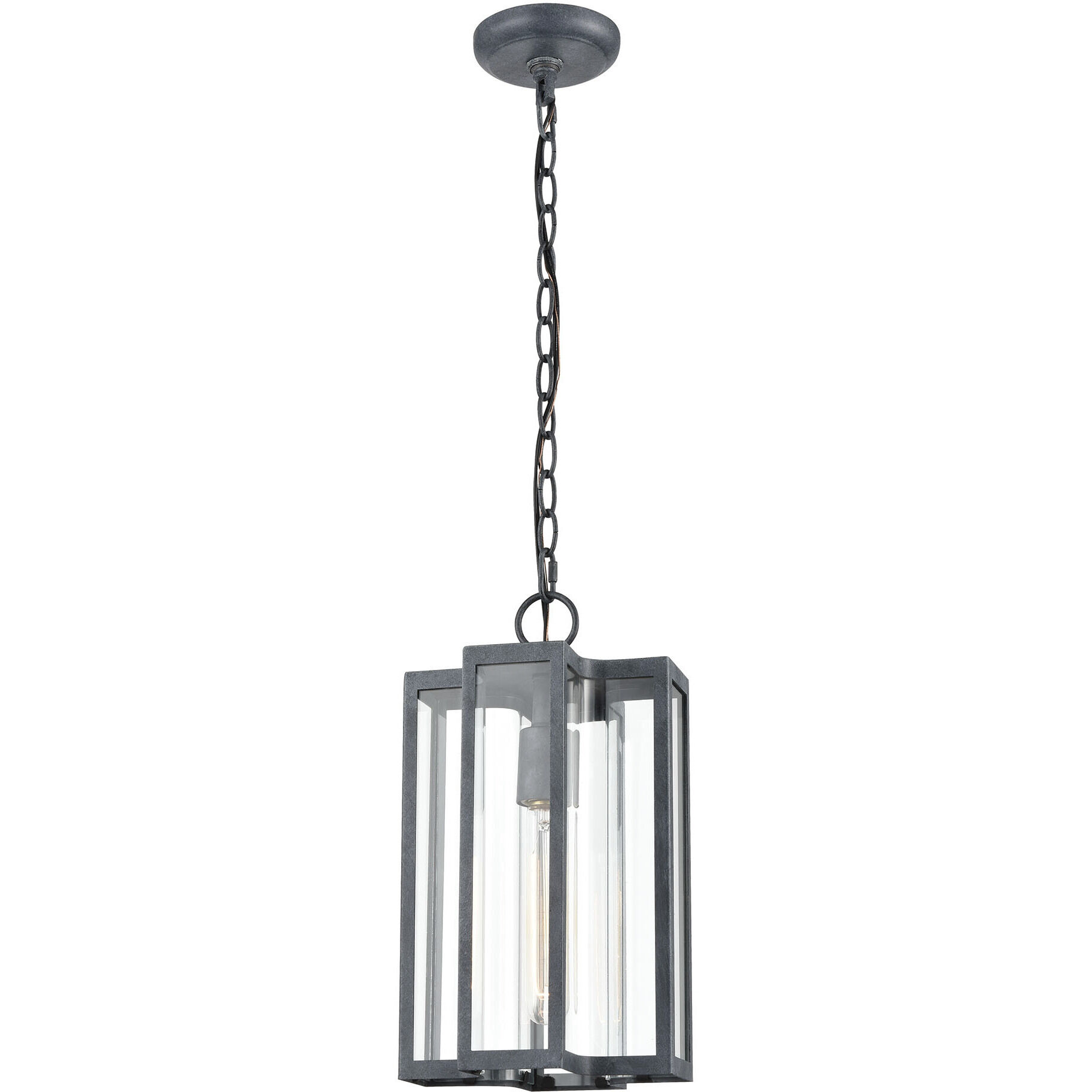 Bianca 1 Light 8.00 inch Outdoor Pendant/Chandelier
