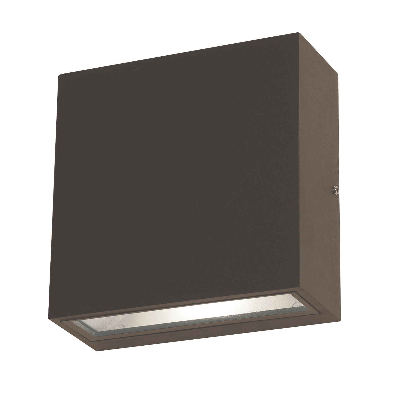 Dexter LED 5.5 inch Bronze Outdoor Wall Sconce