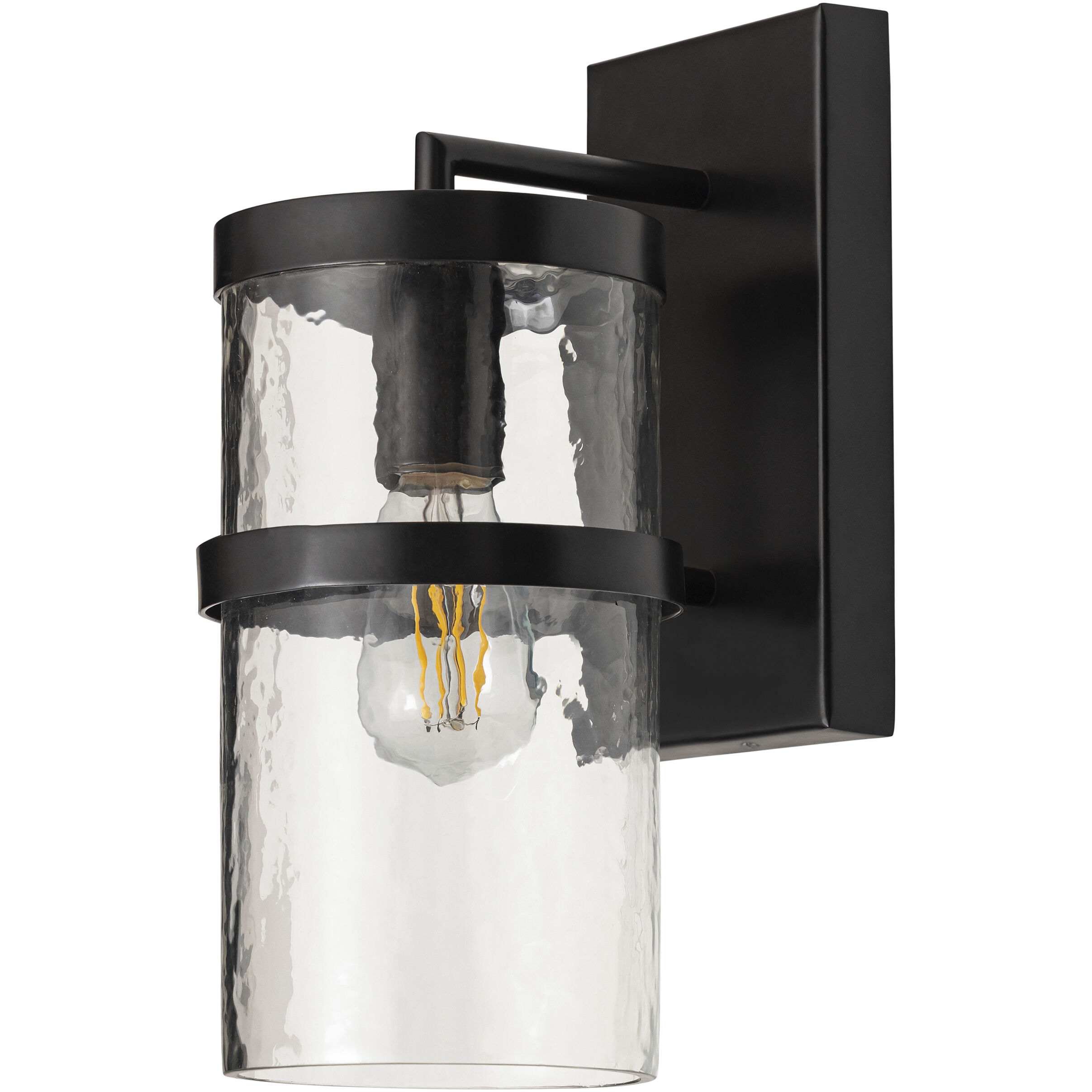 Chamberlain 1 Light 13 inch Dark Bronze Outdoor Wall Mount in Textured Clear