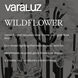 Wildflower 15 Light 40 inch Matte Black Chandelier Ceiling Light, Smithsonian Collaboration