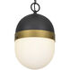 Capsule 1 Light 8 inch Matte Black and Textured Gold Outdoor Pendant