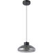 Sarnarra LED 12 inch Black Pendant Ceiling Light