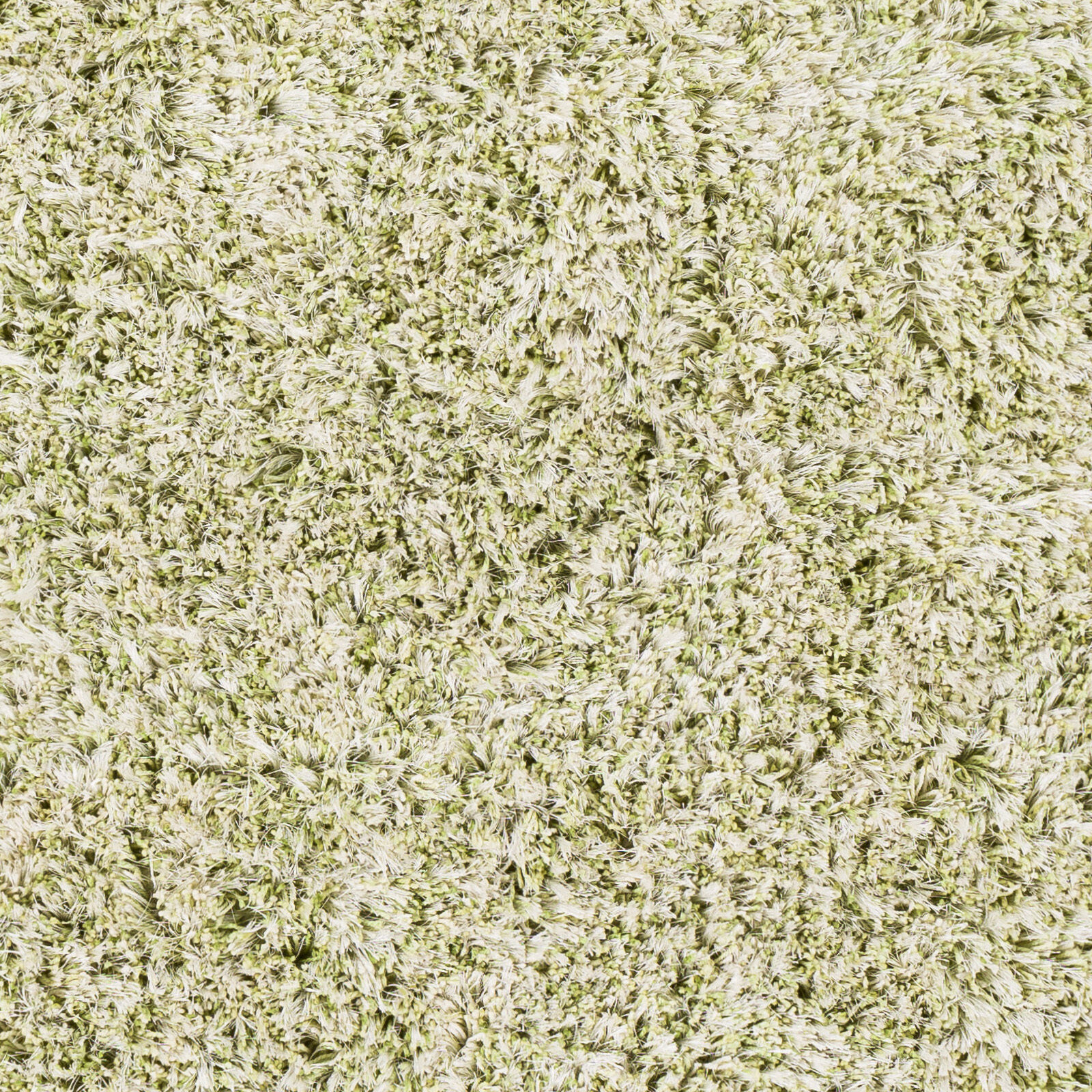 Anaheim 120 X 96 inch Grass Green Rug in 8 x 10, Rectangle