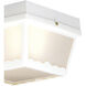 Wavy 2 Light 10 inch White Outdoor Flush Mount