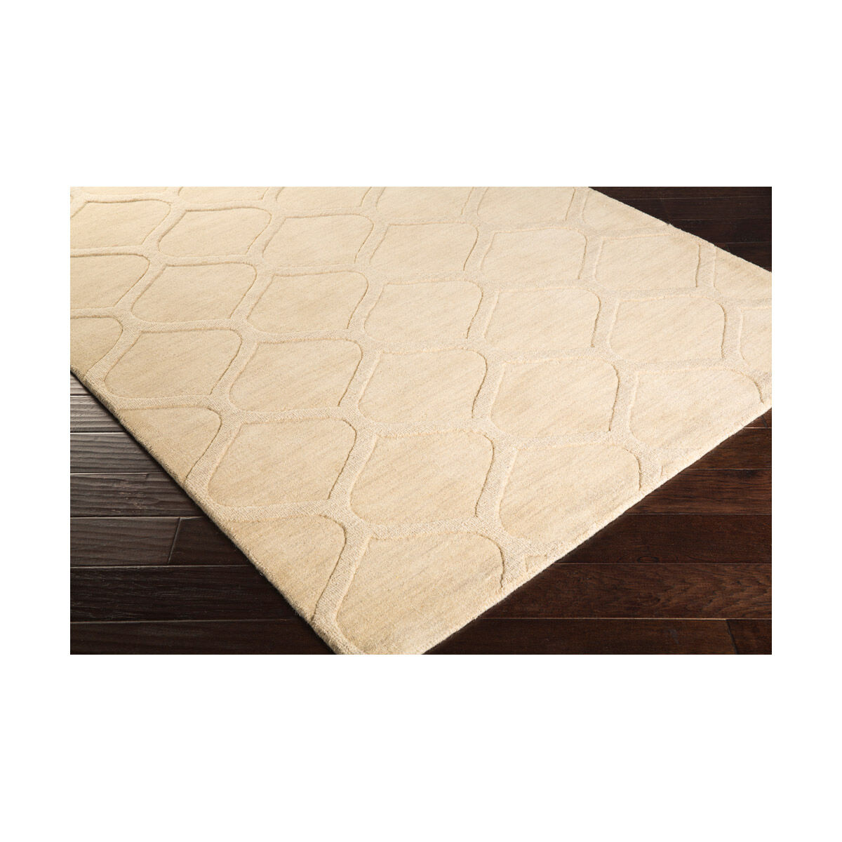 Mystique 36 X 24 inch Cream Rugs, Wool
