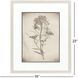 Wildflower Stems Brown and Gray and Neutral Framed Art, Propac