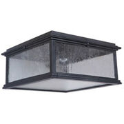 Outdoor Ceiling Lights