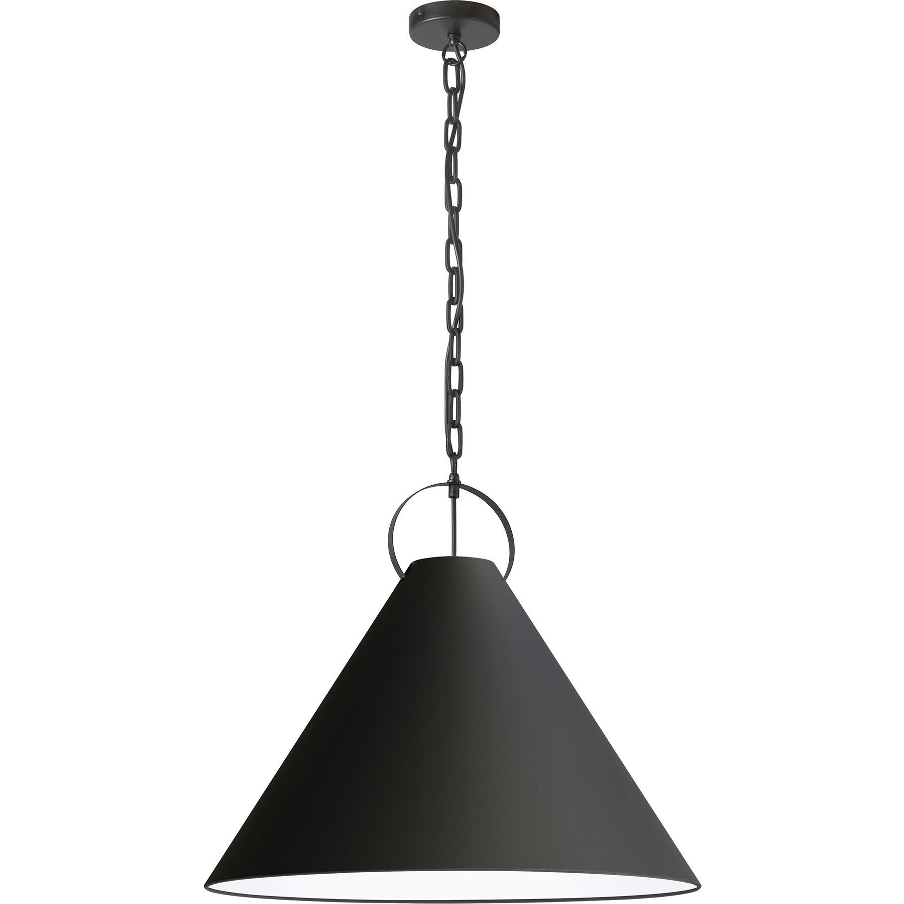 Princeton 1 Light 24.00 inch Pendant