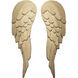 Angel Wings Havana Gold Wall Art