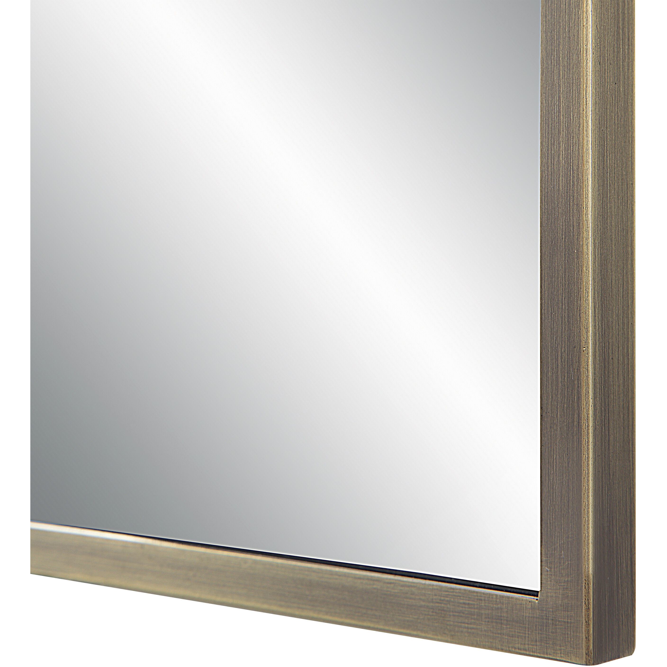 Cider 45 X 30 inch Brushed Bronze Wall Mirror