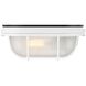 Nauticus Dual Mount 4 inch White Outdoor Wall Sconce