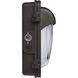 Brentwood LED 9.76 inch Bronze Outdoor Wall Sconce