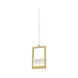 Ratio LED 1 inch Brass Pendant Ceiling Light in Brushed Brass