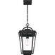 Darius 1 Light 11 inch Earth Black Outdoor Hanging Lantern