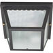 Brentwood 2 Light 9 inch Black Outdoor Flushmount
