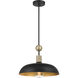 Minka-Lavery Biloxi 1 Light 17.75 inch Coal And Weathered Antique Brass Pendant Ceiling Light 1995-862 - Open Box