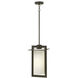 Colfax 1 Light 9.5 inch Bronze Outdoor Hanging Lantern