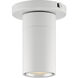 GX15 LED 4.5 inch White Surface Mount Ceiling Light